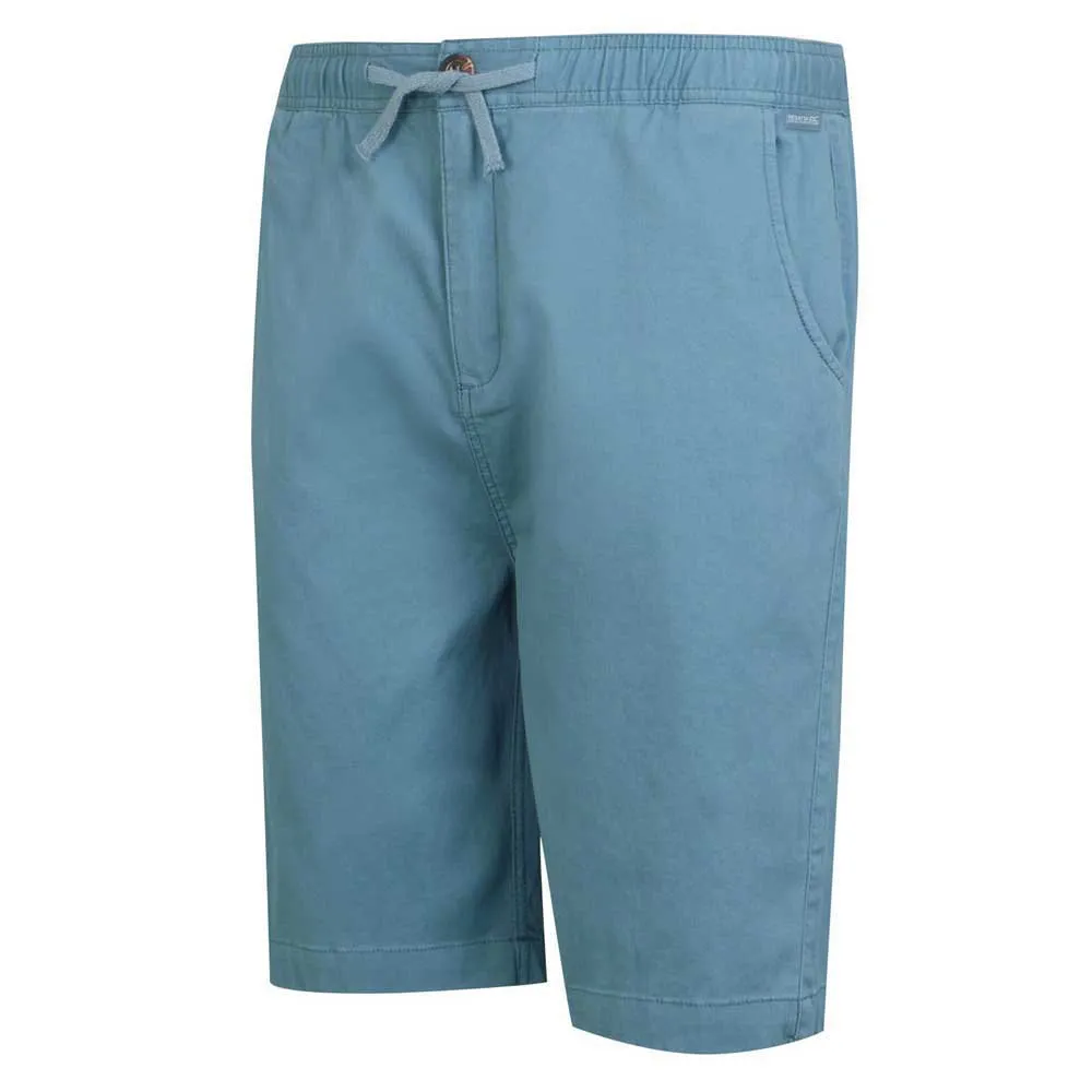 Regatta Aldan Shorts Regatta Aldan Shorts