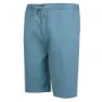 Regatta Aldan Shorts