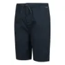 Regatta Aldan Shorts