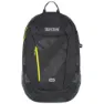 Ebony / neon spring