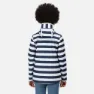 Regatta Bayarma Softshelljacka, Navy / white stripe