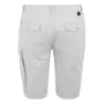 Regatta Bendrick Shorts