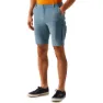 Regatta Bendrick Shorts