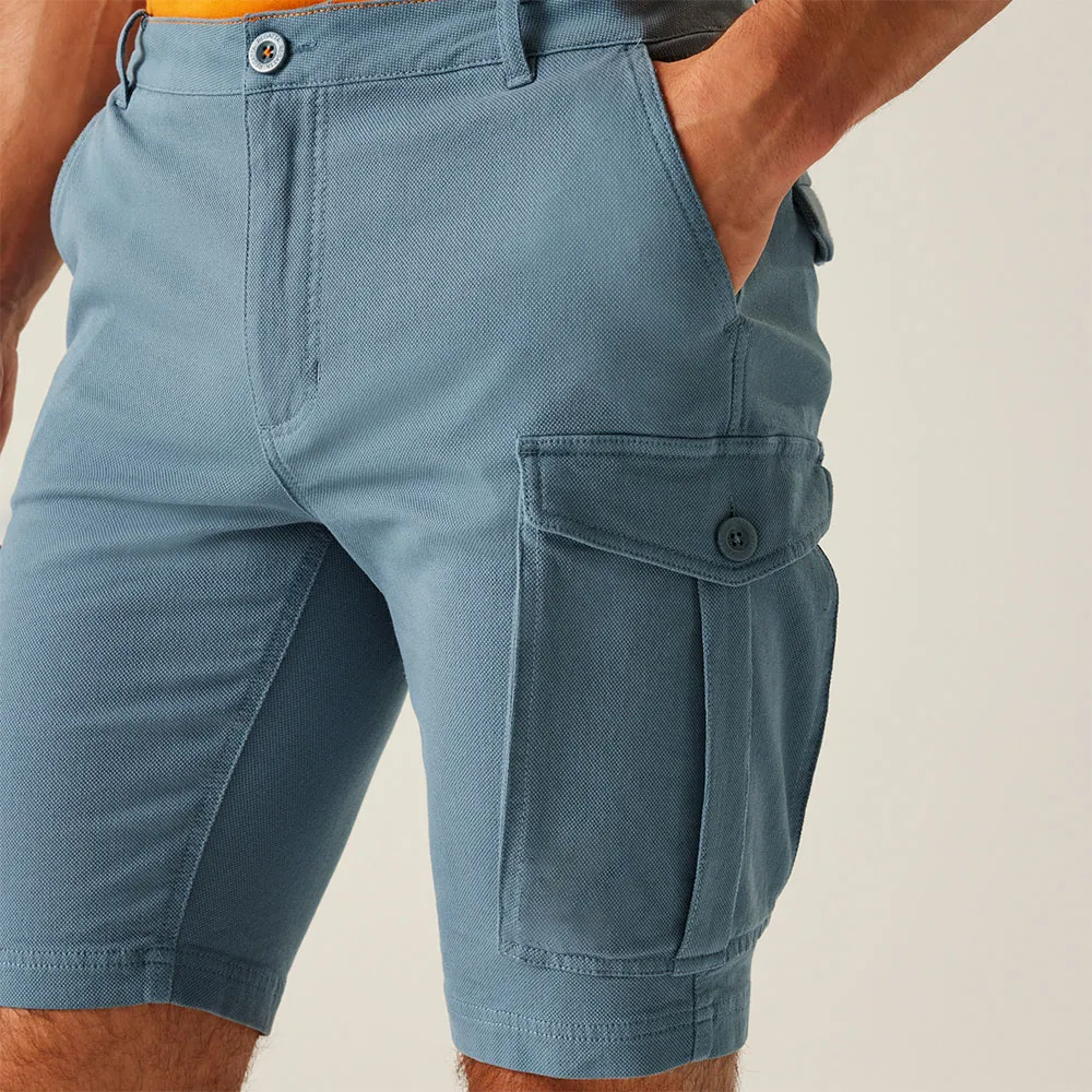 Regatta Bendrick Shorts