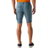 Regatta Bendrick Shorts