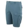 Regatta Bendrick Shorts