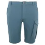 Regatta Bendrick Shorts