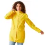 Maize yellow