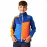 Regatta Brynden Softshelljacka