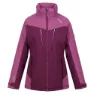 Regatta Calderdale Winter Jacka