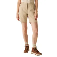 Regatta Chaska Iii Shorts Regatta Chaska Iii Shorts