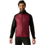Dark maroon / black