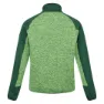 Regatta Coladane V Fleecejacka Med Dragkedja, Jasmine green / green