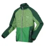 Regatta Coladane V Fleecejacka Med Dragkedja, Jasmine green / green