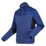 Regatta Coladane Vi Fleece
