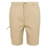 Regatta Dalry Shorts
