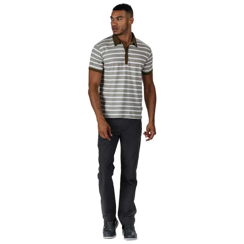 Regatta Delgado Regular Byxor, Seal grey