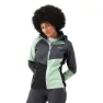 Regatta Dessoto Ix Jacka, Quiet green / seal grey