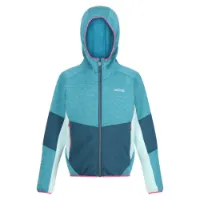 Regatta Dissolver Viii Fleece