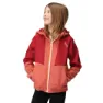 Regatta Haydenbury Softshelljacka