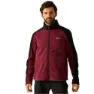 Dark maroon / black