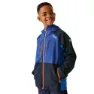 New royal / navy