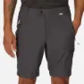 Regatta Highton Konvertibla Byxor, Seal grey, 32