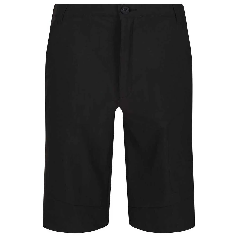 Regatta Highton Long Shorts