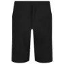 Regatta Highton Long Shorts