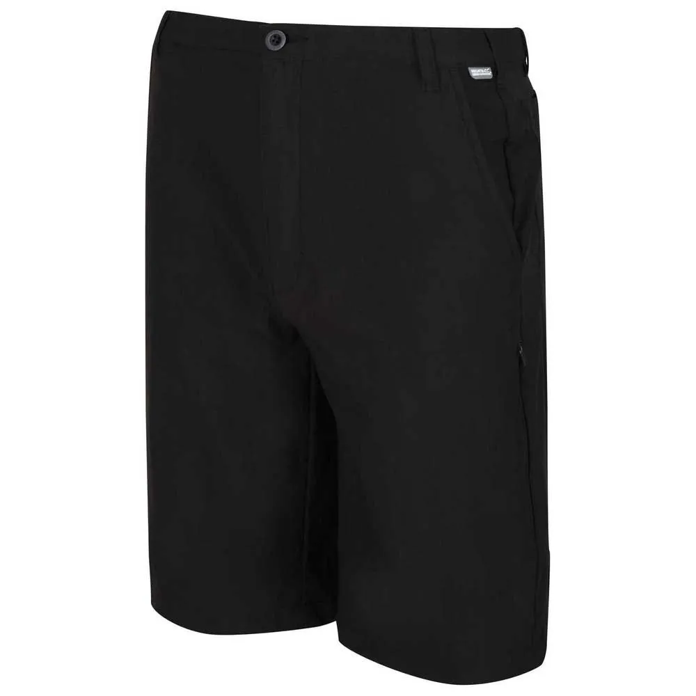 Regatta Highton Long Shorts