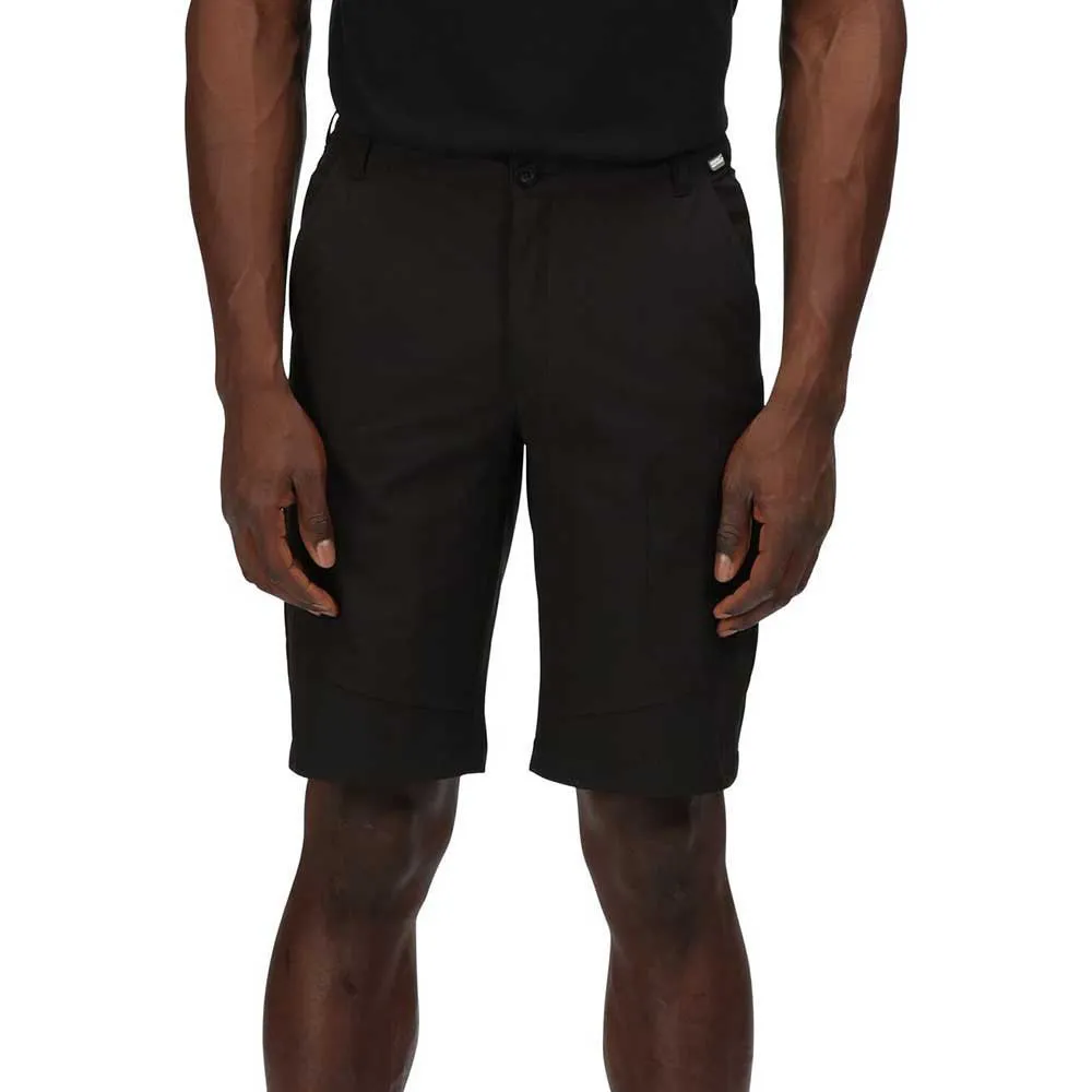 Regatta Highton Long Shorts