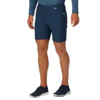 Regatta Highton Mid Shorts