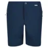 Regatta Highton Mid Shorts