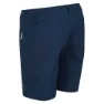 Regatta Highton Mid Shorts