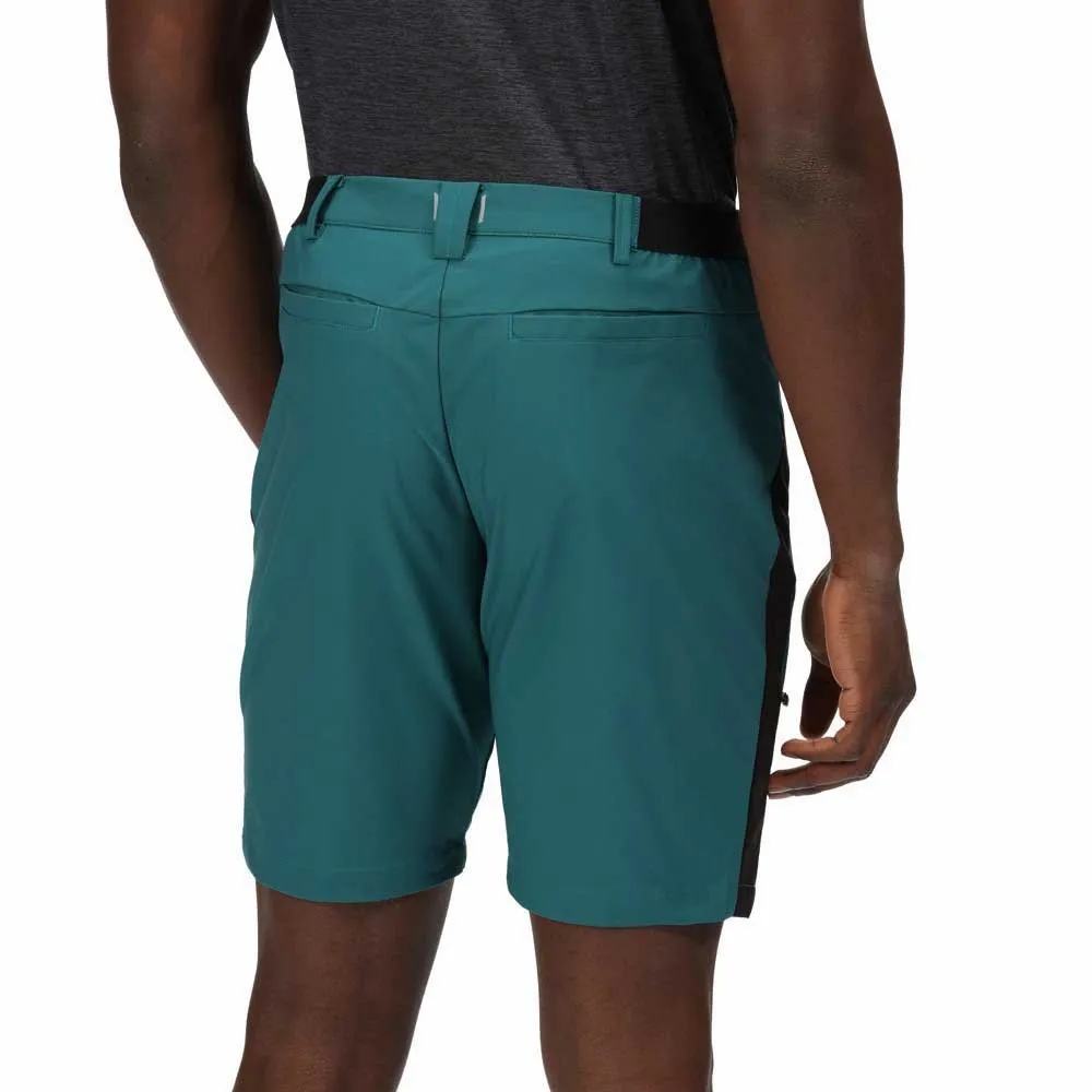 Regatta Highton Pro Shorts