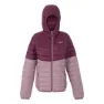 Regatta Hillpack Iv Jacka
