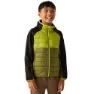 Nephrite green / green green