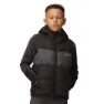 Black / seal grey 1