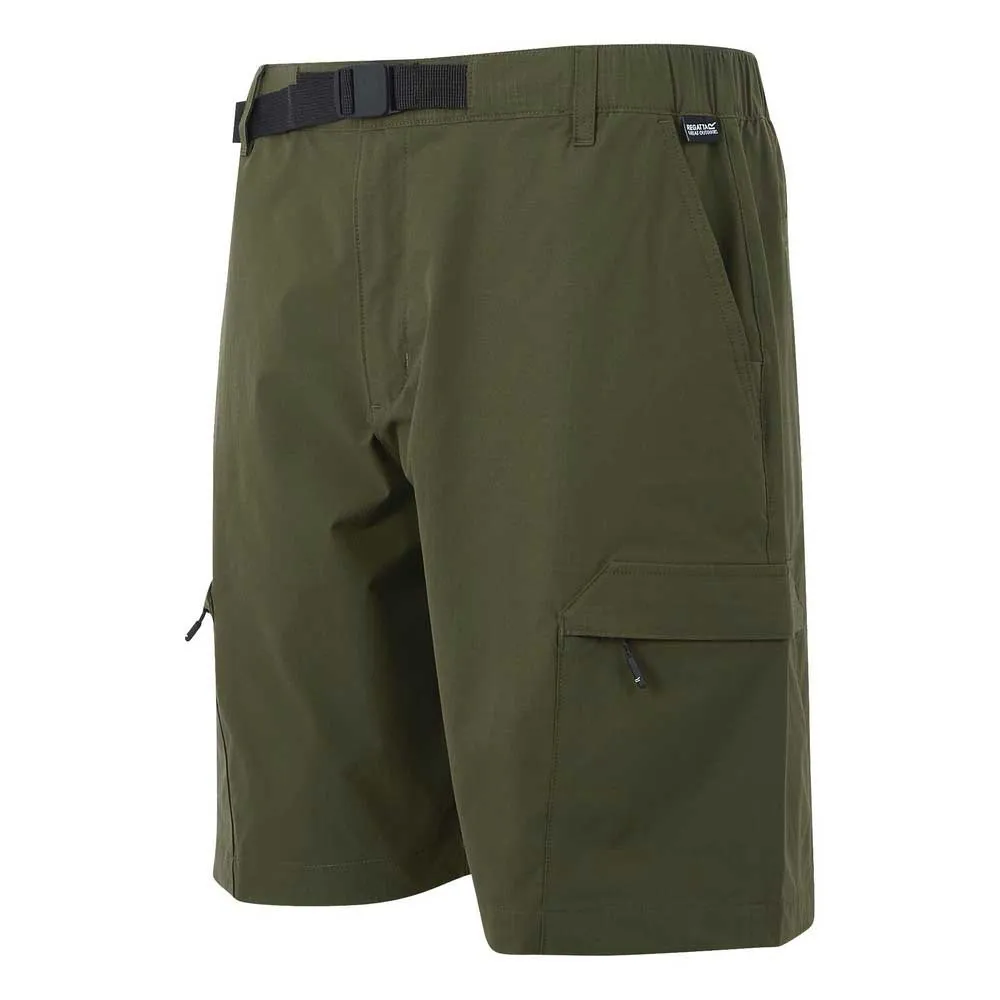 Regatta Mallen Shorts