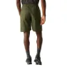 Regatta Mallen Shorts