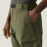 Regatta Mallen Shorts