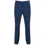 Regatta Mountain Ii Byxor, Dark denim, 32