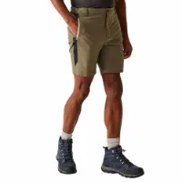 Regatta Mountain Ii Shorts Regatta Mountain Ii Shorts
