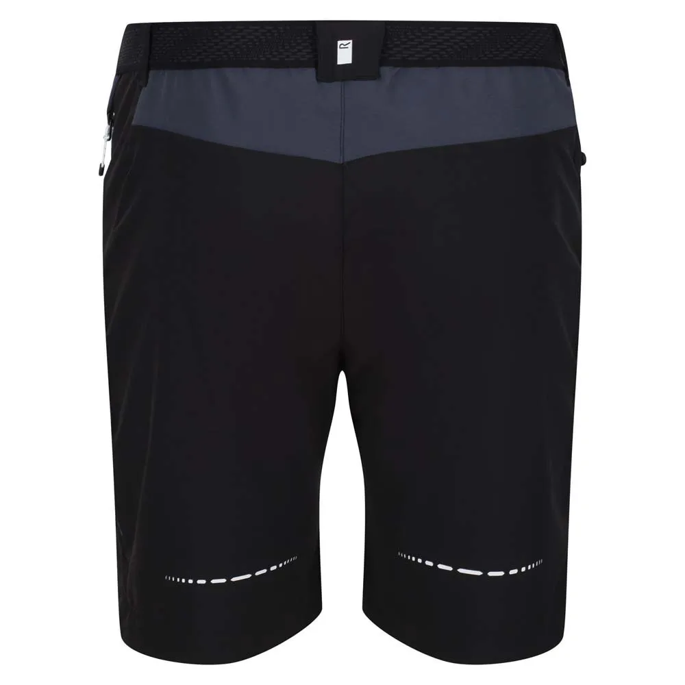 Regatta Mountain Ii Shorts