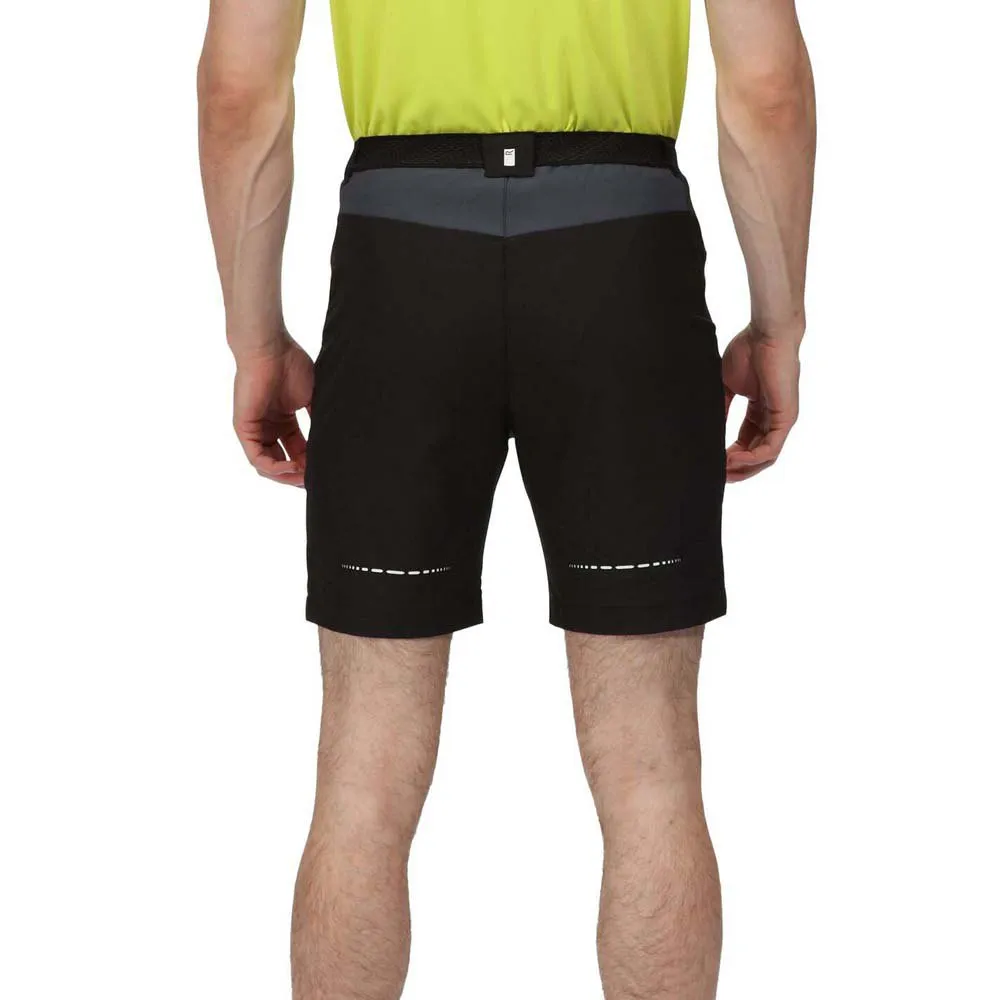 Regatta Mountain Ii Shorts