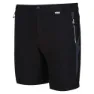 Regatta Mountain Ii Shorts