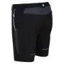 Regatta Mountain Ii Shorts