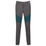 Regatta Mountain Regular Byxor