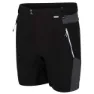 Regatta Mountain Shorts, Black / magnet