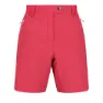 Regatta Mountain Shortsii Shorts